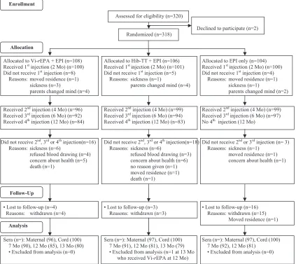 FIG. 1. Flow chart of vaccinations.