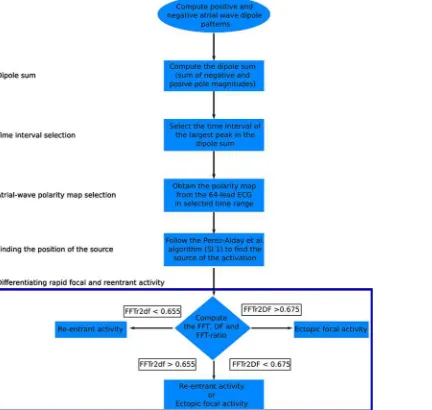 Fig 6. Schematic illustration of the algorithm to identify the location of atrial focal origin or re-entryfrom atrial wave polarity maps.