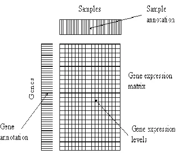 Fig. 1 Gene expression matrix  