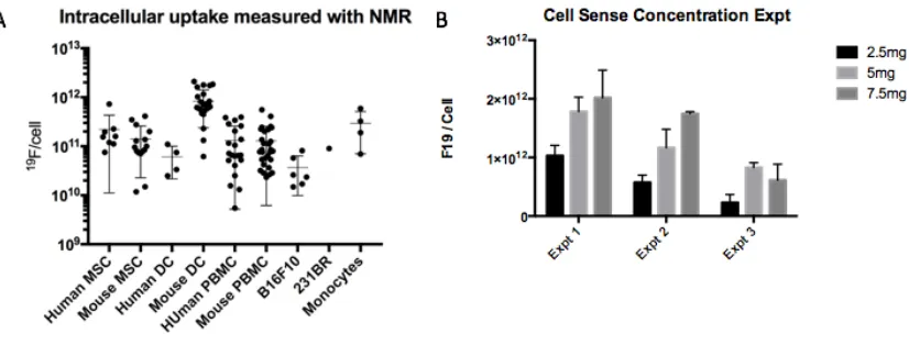 Figure 7: (A) Number of mean 19and culture. (B) Incubation concentration of the subjects tended to label less efficiently, in comparison to cells from younger subjects point represents cells prepared for a unique experiment