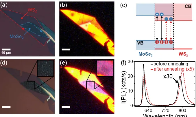 Figure 4: Emergence of interlayer exciton PL following annealing in MoSe2heterobilayers