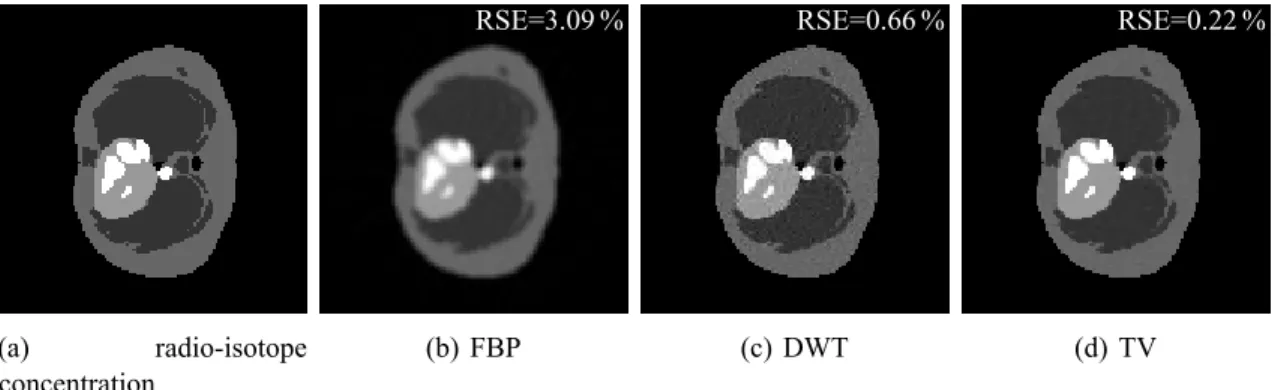 Fig. 2: (a) True emission image and (b)–(d) the reconstructions of the emission concentration map.