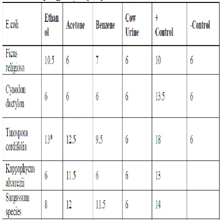 Table 2b shows the antimicrobial activity of 