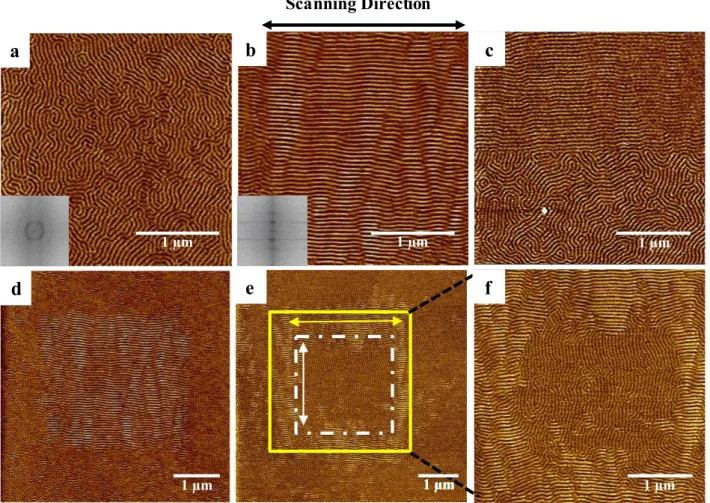 Figure 2: AFM phase images showing: (a) the natural random orientation of E/MB microdomains in  the melt state,  (b) the cylindrical microdomains oriented by the AFM tip,  (c) the boundary between  random and oriented cylinders, and (d) the oriented cylind