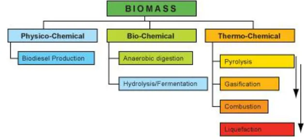 Figure 1-1 Biomass resource conversion processes [5]. 