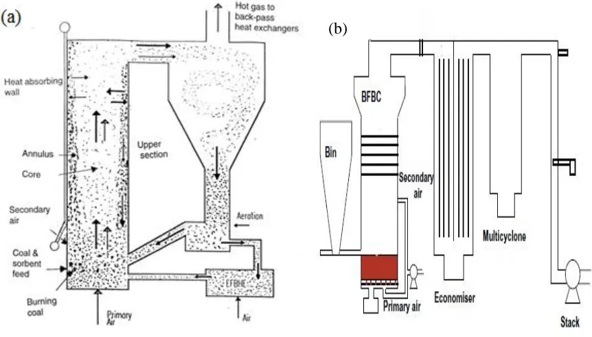 Figure 1-2 Circulating fluidized bed (a) and Bubbling fluidized bed (b) [9,10]. 