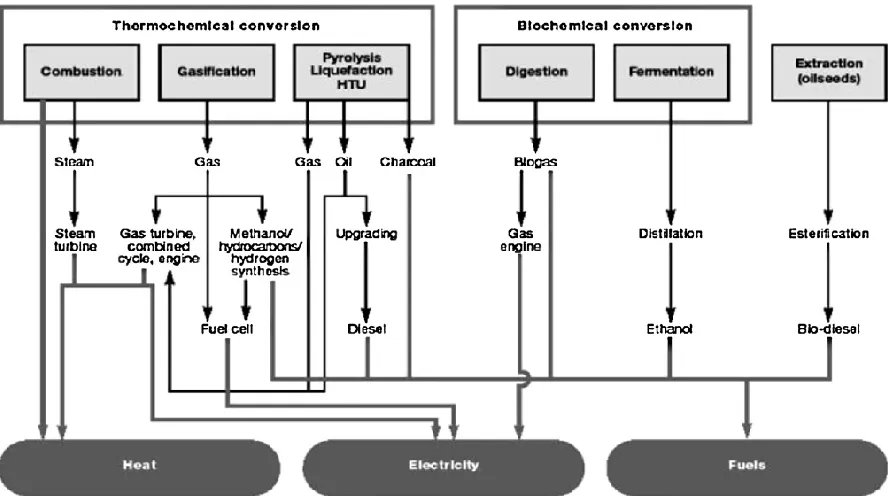 Figure 2-2 Main conversion options for biomass to secondary energy carriers, reprinted with 
