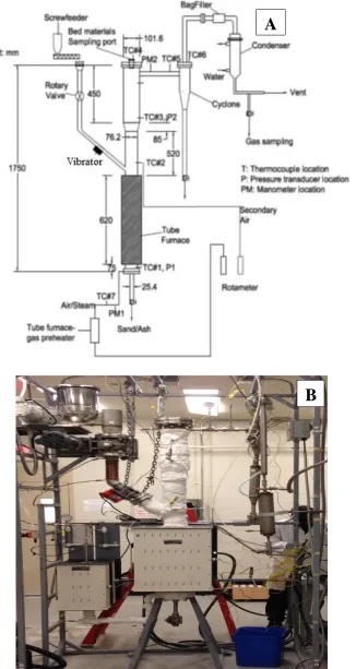 Figure 3-1 Schematic diagram (A) and photo of lab scale (B) BFB combustor. 