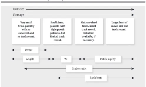 Figure 3.1 The financial growth cycle of firms 
