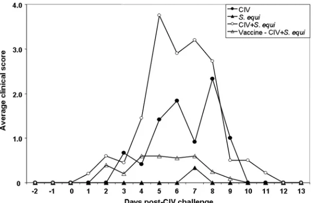 FIG. 2. Virus shedding. All dogs in groups 1, 3, and 4 were chal-lenged with CIV on study day 35 (day 0 after CIV challenge)