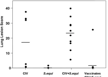 FIG. 4. Lung lesions. The gross lung lesion scores are shown. Onedog in group 1 was euthanized at 9 days postchallenge, and one dog in