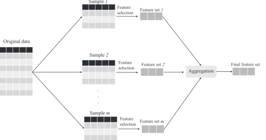 Fig. 2. Ensemble feature selection approach using sub-sampling of original data. First, different sub-samples of the original data are built and informative features of each sub-sample are obtained