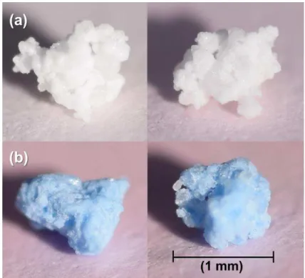 Fig. 2. Typical shapes of (a) BP (white) and (b) TAED (blue) particles sieved between 850 and 1000  m