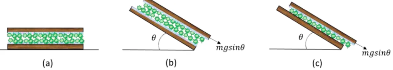 Fig. 3. Schematic diagram for measuring the coefficient of sliding friction. Graph (a) shows the  surfaces at rest, graph (b) shows the particle-particle sliding friction experiment, and graph (c) 