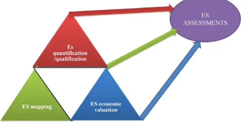 Figure 1. Conceptualized perfect case of equal contribution of economicvaluation, mapping and quantiﬁcation/qualiﬁcation to ES assessments.