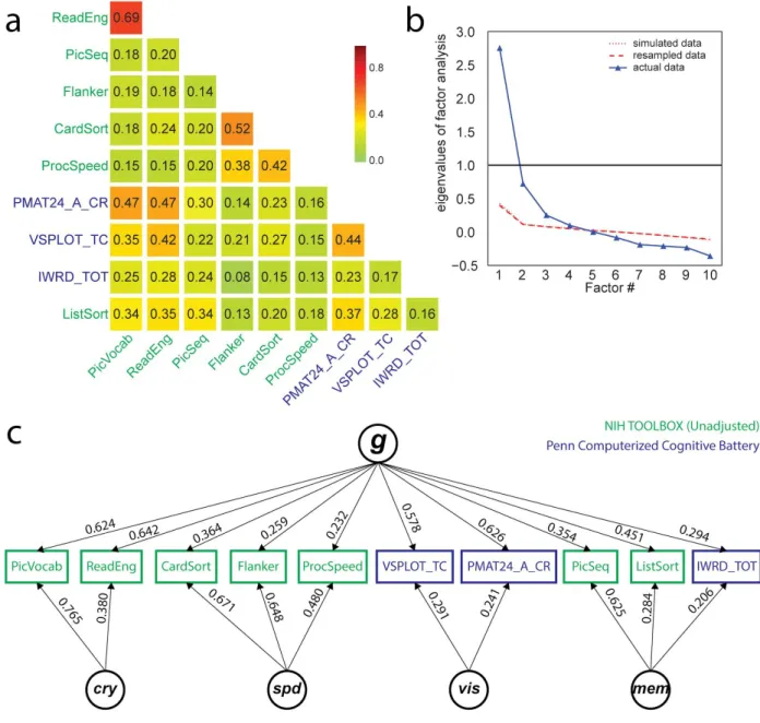 Figure 1. ​ ​Exploratory factor analysis of select cognitive tasks (Table 1) in the Human 