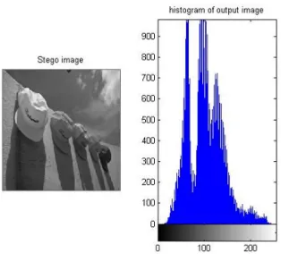 Fig. 3 Input Image  