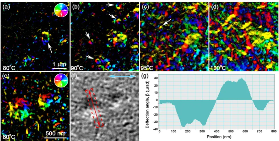 Figure 8. ((a–f) DPC images of magnetic domains/DWs in sample 2 at (a) 20 °C; and during in situ heating to b) 80 °C; (c) 120 °C; (d) 200 °C; (e) 300 °C; and (f) 400 °C
