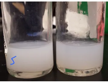 Figure 3.1: Tert-butyl alcohol and 21 nm TiO2 nano-particles result. The ”S” on the left had asmall amount of detergent added to see its eﬀect