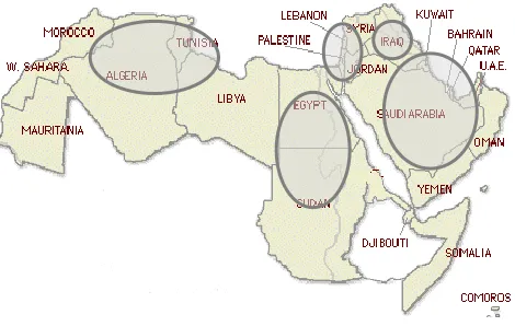 FIGURE 1: Arab World Map.