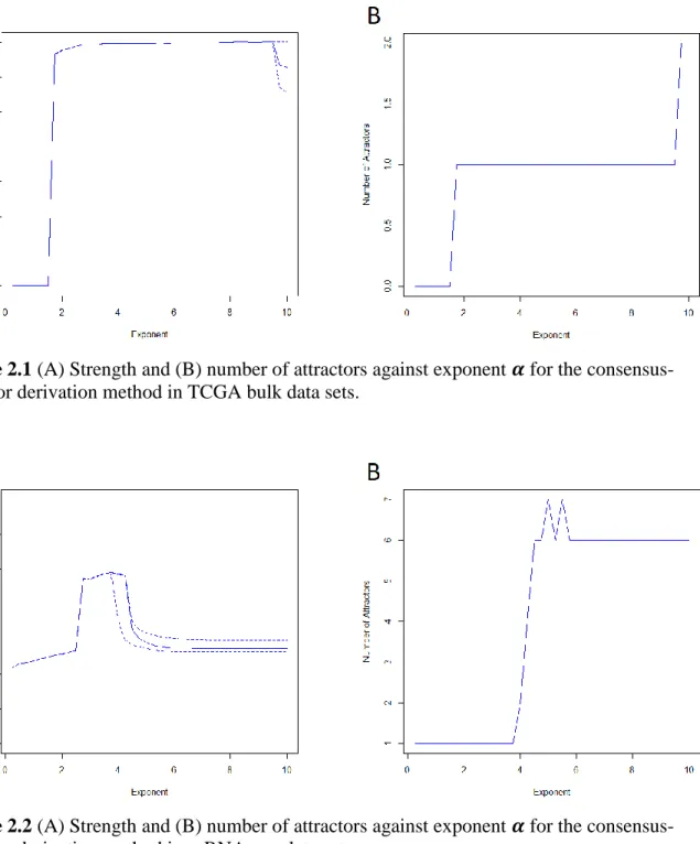 Figure 2.1 (A) Strength and (B) number of attractors against exponent 
