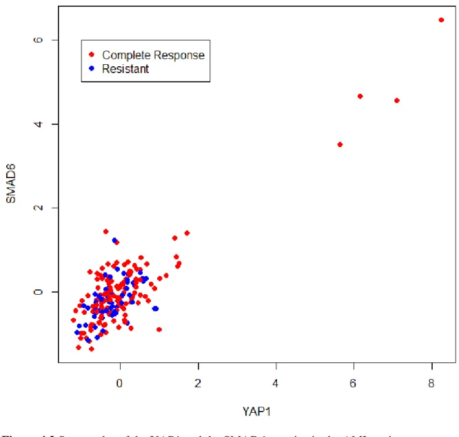 Figure 4.2 Scatter plot of the YAP1 and the SMAD6 proteins in the AML patients. 