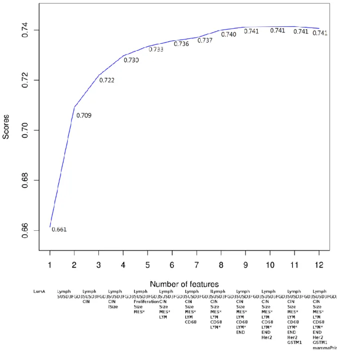 Figure 4.3 Scores of the optimal combinations of different numbers of the features. 