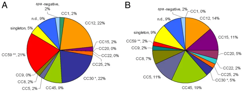 FIG. 1. Clonal distribution of SAB isolates from IDUs (A) and nonaddicts (B). spaMLST-CC nomenclature was deduced fromisolates from IDUs