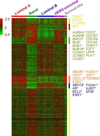 Figure 2: Heatmap of breast cancer expression data. Samples and genes rearranged according to our NCIS results