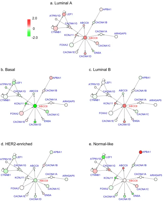 Figure 4: Expression patterns of ABCC8 subnetwork in BRCA subtypes. Genes directly connected to ABCC8 and genes targeting ABCC8’s downstream genes are included.