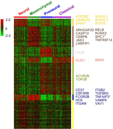Figure 5: Heatmap of GBM expression data. Rearranged according to our NCIS results. Genes listed are the 30 genes used to train classifier