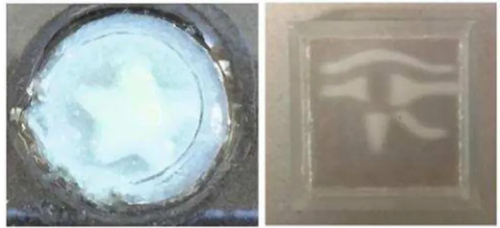 Fig. 9  Spatially resolved multi-domain hydrogels produced from the 