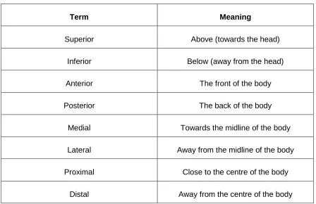 Table 2.1 Anatomical position terms and their meanings 