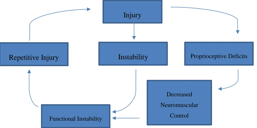 Figure 2.5. Cascade of injury  
