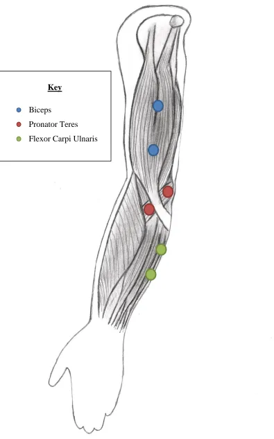 Figure 3.8. Anterior Arm Electrode Placement 47 