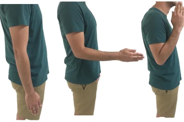 Figure 3.12. Person with right elbow extended (left), flexed at 90 degrees (middle), and fully flexed (right) 