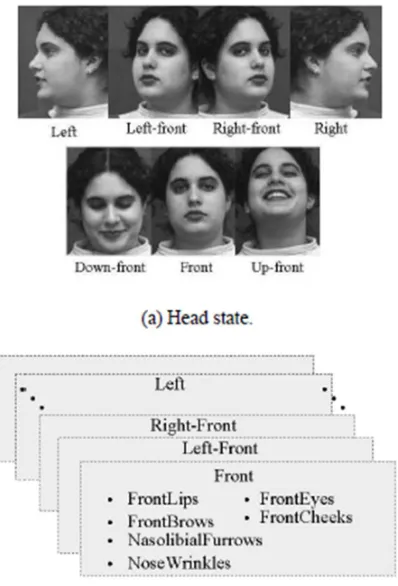 Figure 1 Multi-state face model 