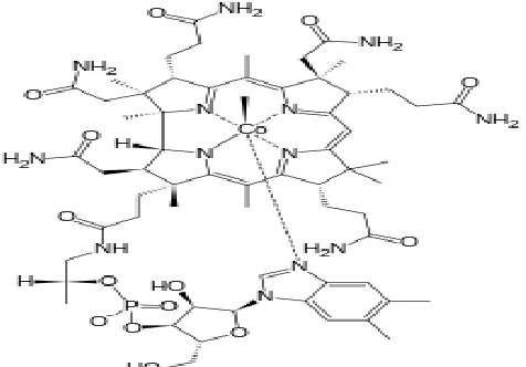 Fig. 2: Structure of Methylcobalamin 