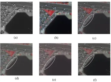 Fig. 5. Quickbird data : (a) PAN image ; (b) MS image ; (c) fused image of DWT method; (d) fused image of CWT Rule 1; (e)  fused image of CWT Rule 2;   (f) fused image of proposed CWT method