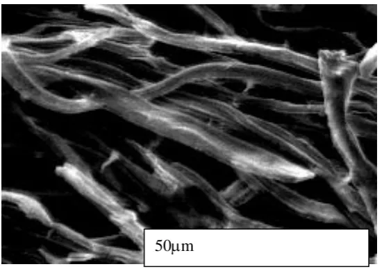 Figure 12.  