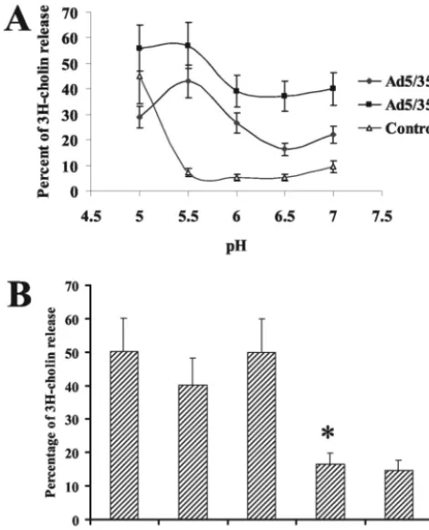 FIG. 7. Efﬁciency of [3H]choline release from pulse-chase labeledcells (membrane lysis) at different pH values by Ad5/35 vectors with