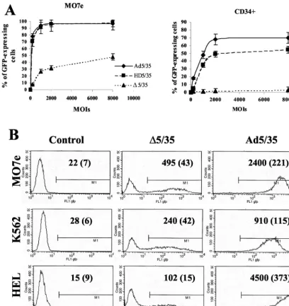 FIG. 2. Transduction efﬁciency of different cell lines varies signiﬁcantly for Ad vectors with different genome sizes
