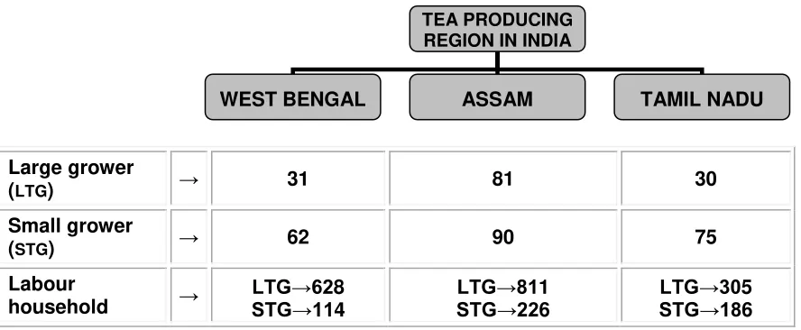 Table 1.1: Distribution of large growers as per land use status