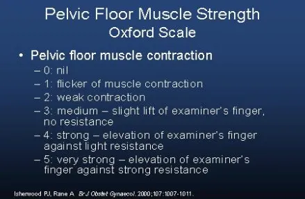 Figure b Oxford scale for scoring tone of levator ani muscle. 