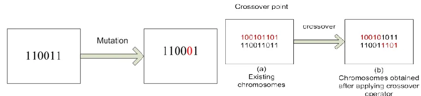 Figure 4: Mutation and crossover operators for GA 