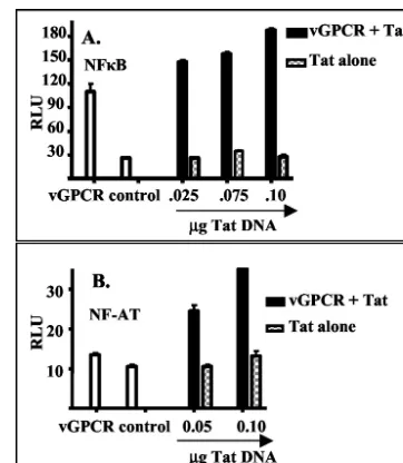FIG. 3. Tat alone has little effect on NF-�GR5 cells were transfected with an expression construct for vGPCR oran empty control vector and with different amounts of an expressionvector for Tat