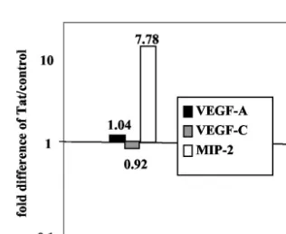 FIG. 4. Tat increases vGPCR-mediated phosphorylation of Akt and its downstream targets
