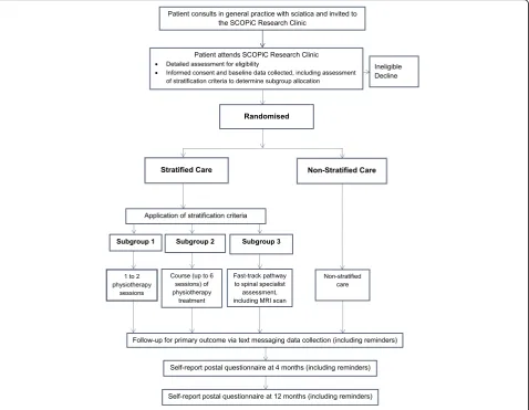 Fig. 1 Summary flow diagram of participant recruitment in the SCOPiC trial