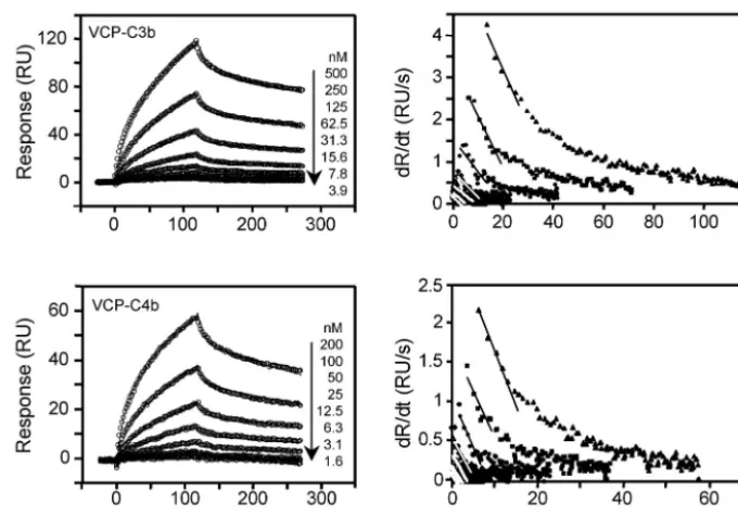TABLE 1. Kinetic and afﬁnity data for the interactions of VCP and human complement control proteins factor H (fH) and sCR1 with C3b,C4b, and their fragments