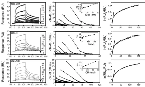 FIG. 5. Binding of sCR1 and factor H to immobilized C3b and C4b. The left panels show overlay plots for binding of sCR1, factor H toimmobilized C3b, and sCR1 to immobilized C4b